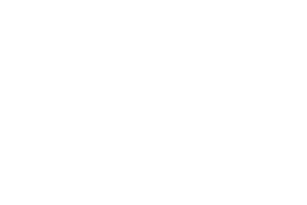 Partner-Logo_akeneo-ico-badge-Gold-partner-horizontal-white